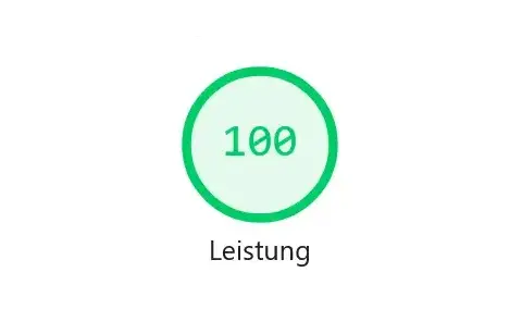 Screenshot einer Lighthouse-Bewertung mit viermal 100 Punkten als Case Study für eine SEO-Webseite aus Leipzig